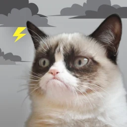 Grumpy Cat Weather 图标